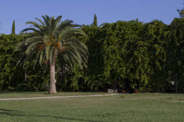 Similar image 1638679