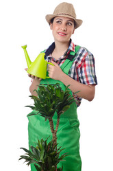 Similar image 1638842