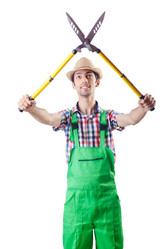 Similar image 1639054