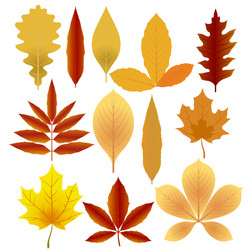 Similar image 1639216