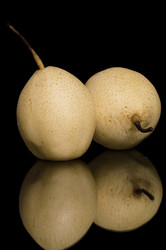 Similar image 1639562