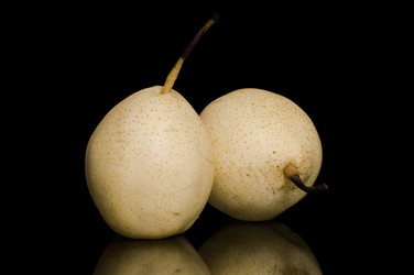 Similar image 1639563