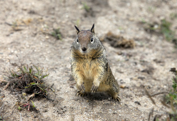 Similar image 1641296