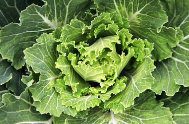 Similar image 1641314