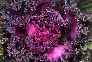 Similar image 1641318