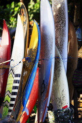 Similar image 1641322