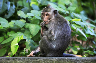 Similar image 1641326