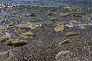 Similar image 1641792