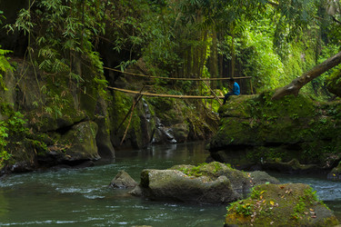 Similar image 1641863