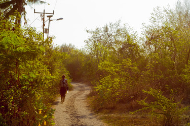 Similar image 1641885