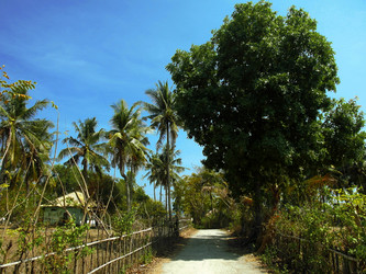 Similar image 1641902