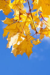 Similar image 1641932