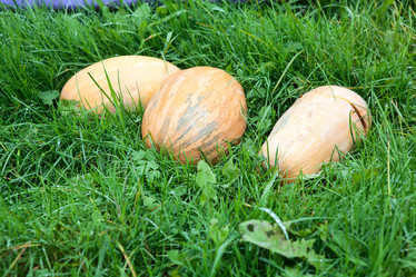 Similar image 1641935