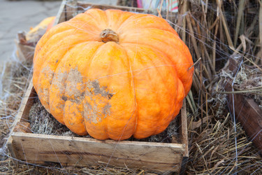 Similar image 1641946