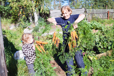 Similar image 1641969