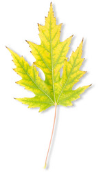 Similar image 1642073