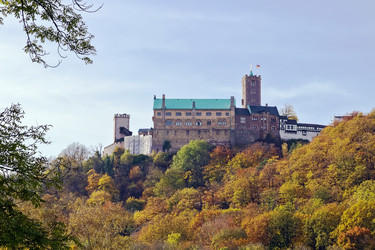 Similar image 1642086