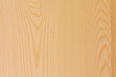 Similar image 1642092