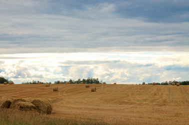 Similar image 1642093