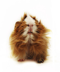 Similar image 1642104