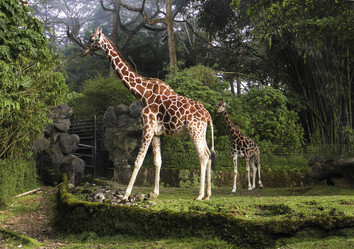 Similar image 1642105