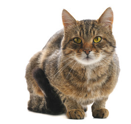 Similar image 1642136