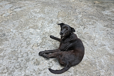 Similar image 1642141