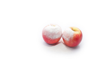 Similar image 1642198