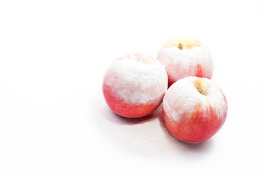 Similar image 1642199