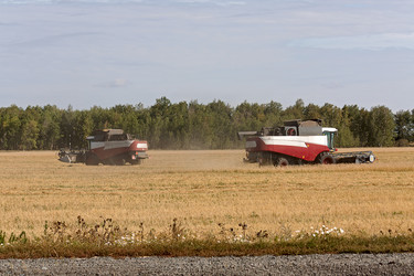 Similar image 1642215