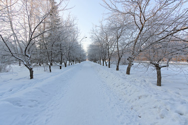 Similar image 1642219