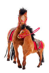 Similar image 1642246