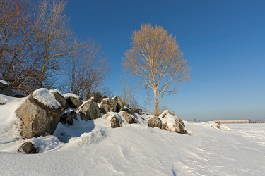 Similar image 1642250