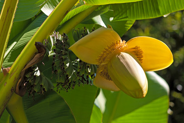 Similar image 1642251