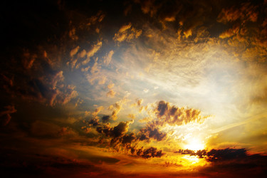 Similar image 1642285