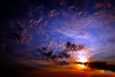 Similar image 1642296