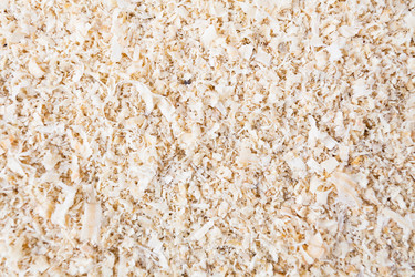 Similar image 1642492