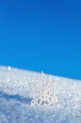 Similar image 1642514