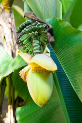 Similar image 1642787