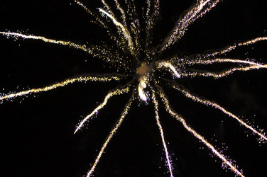 Similar image 1642955