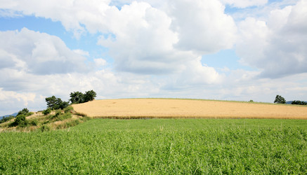 Similar image 1643026