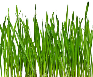 Similar image 1643029