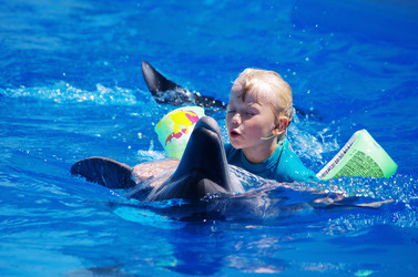 Similar image 1643043