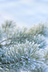 Similar image 1643070