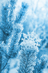 Similar image 1643071