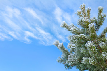 Similar image 1643072