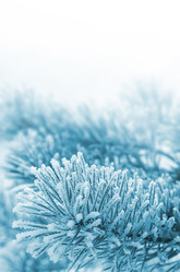 Similar image 1643073