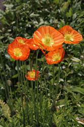 Similar image 1643084