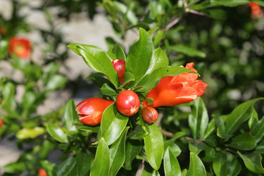 Similar image 1643088