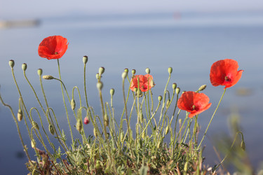 Similar image 1643089